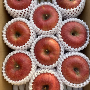 シャキシャキッ！完熟サンふじ 3kg箱～ 信州りんご 