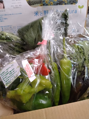 みんなの投稿の画像