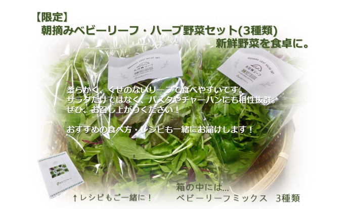 旬の果物・野菜　朝摘みベビーリーフ・ハーブ野菜セット(3種類)｜野菜の商品詳細｜ポケットマルシェ｜産直(産地直送)通販　☆お得な2倍セット☆　・魚介をお取り寄せ