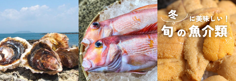 夏に美味しい旬の魚介類