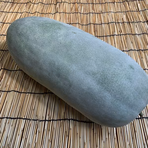【自然栽培】固定種 大玉冬瓜１玉 5kg以上★農薬・肥料不使用