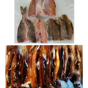 【冷凍】 −60℃スルメイカ500g&未利用魚お手軽3種セット