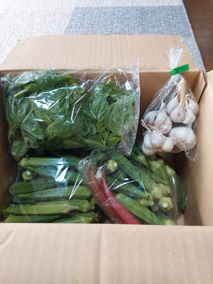 みんなの投稿の画像