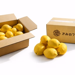 皮まで使える 和歌山県産レモン（防カビ剤不使用)