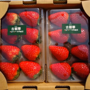 朝採り新鮮・特大いちご「古都華」