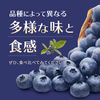 ブルーベリー新鮮果実：ラビットアイ系　2パック詰め（125gｘ２）