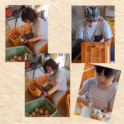 みんなの投稿の画像