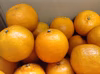 無農薬・無化学肥料のポンカン