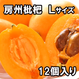 『房州びわ/枇杷 Lサイズ12個入り』南房総市産の大実の枇杷を農家から