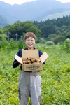 【１人１回だけの特別品】兵庫県但馬産新じゃが　きたあかり２kg