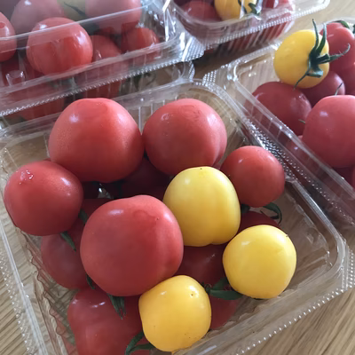 みんなの投稿の画像