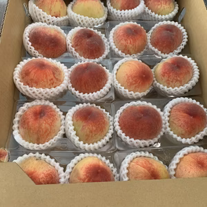 硬くて真っ赤な山梨県生まれの日川白鳳が今が旬です‼️