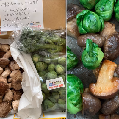 みんなの投稿の画像