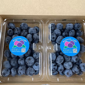 あいさい彩（いろどり）ベリー®︎（ブルーベリー生果）