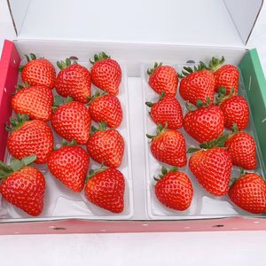 ※12月下旬より順次発送‼️激甘イチゴ❤️「レジェンド光姫イチゴ」❤️ 