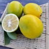 人気レモン約2㌔　みかん約2㌔　人気のツートップ