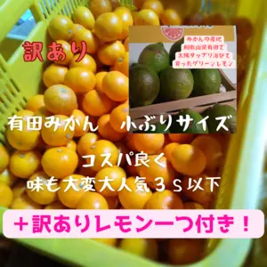 有田みかん　みかん　10キロ  訳あり　今だけレモン一つセット　皮に斑点、傷