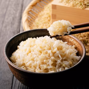 【一度は食べたい日本全国No.1米】『長州戦国玄米』約5kg【11月新米予約】