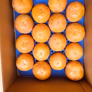 農家直送‼️ 早生富有柿16個入り⭐️