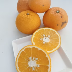 【残りわずか】農薬不使用甘夏・訳ありお得箱10kg♪