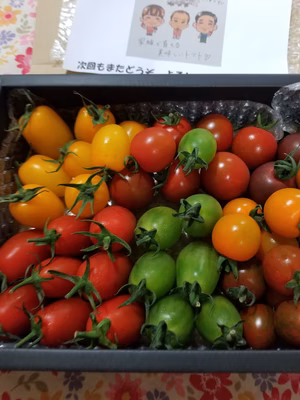 みんなの投稿の画像