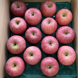 山形県産完熟ふじ　秀品5kg箱