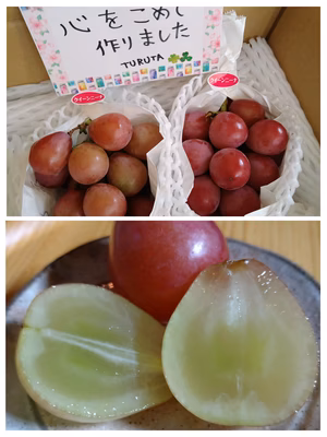 みんなの投稿の画像