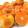 ［期間限定］ご家庭向きの早生みかん【農薬不使用】4kg