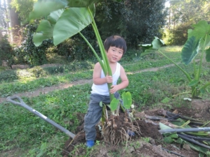 14720354_1093817577392688_6345645670911250995_n