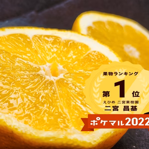 　河内晩かん　和のグレープフルーツ