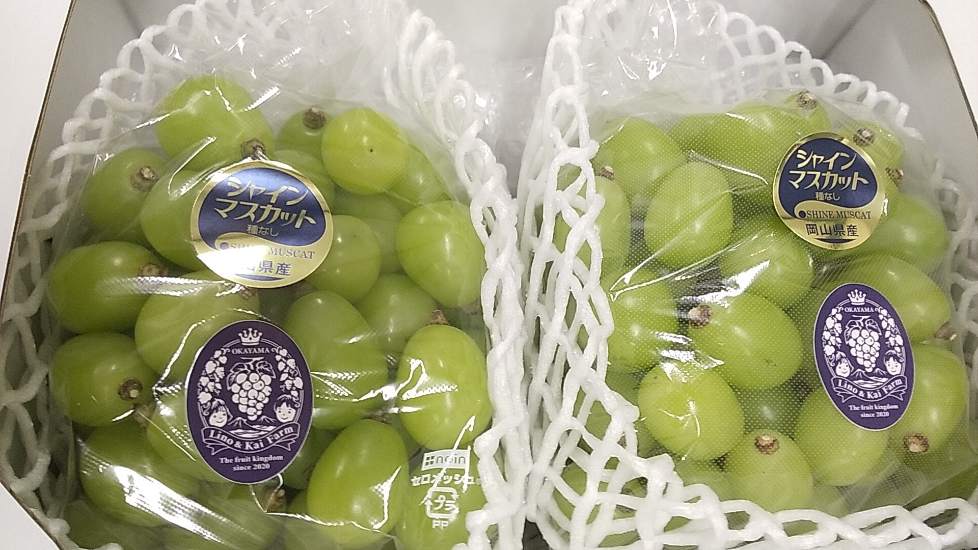 シャインマスカット粒カットばら たっぷり2.5㎏に増量！フルーツ王国・岡山 県産｜ぶどうの商品詳細｜ポケットマルシェ｜産地直送で旬の食材が生産者(農家・漁師)から届く