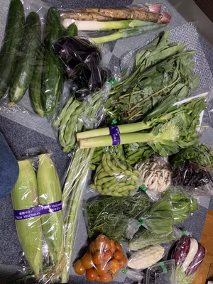 みんなの投稿の画像