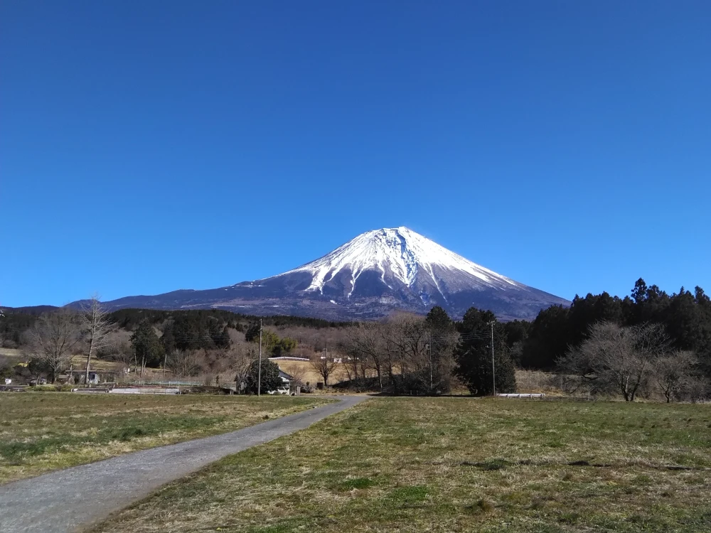 ロースステーキ用