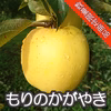 【ラスト１箱】盛岡生まれの黄色い新品種【もりのかがやき】