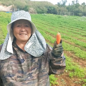 【送料込】うるマルシェ生産者協議会のあま～い津堅にんじん