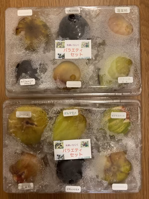 みんなの投稿の画像