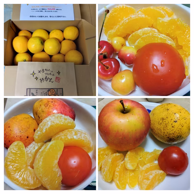 みんなの投稿の画像