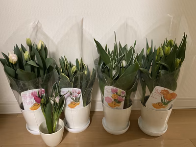 みんなの投稿の画像