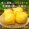 ★生でも美味しい不思議なカボチャ★コリンキー[化学農薬・化学肥料不使用]