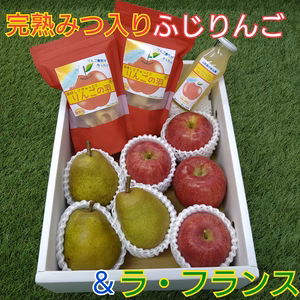 ★秀品★山形の旬＆りんごの羽 Ａ《11月中旬〜発送》