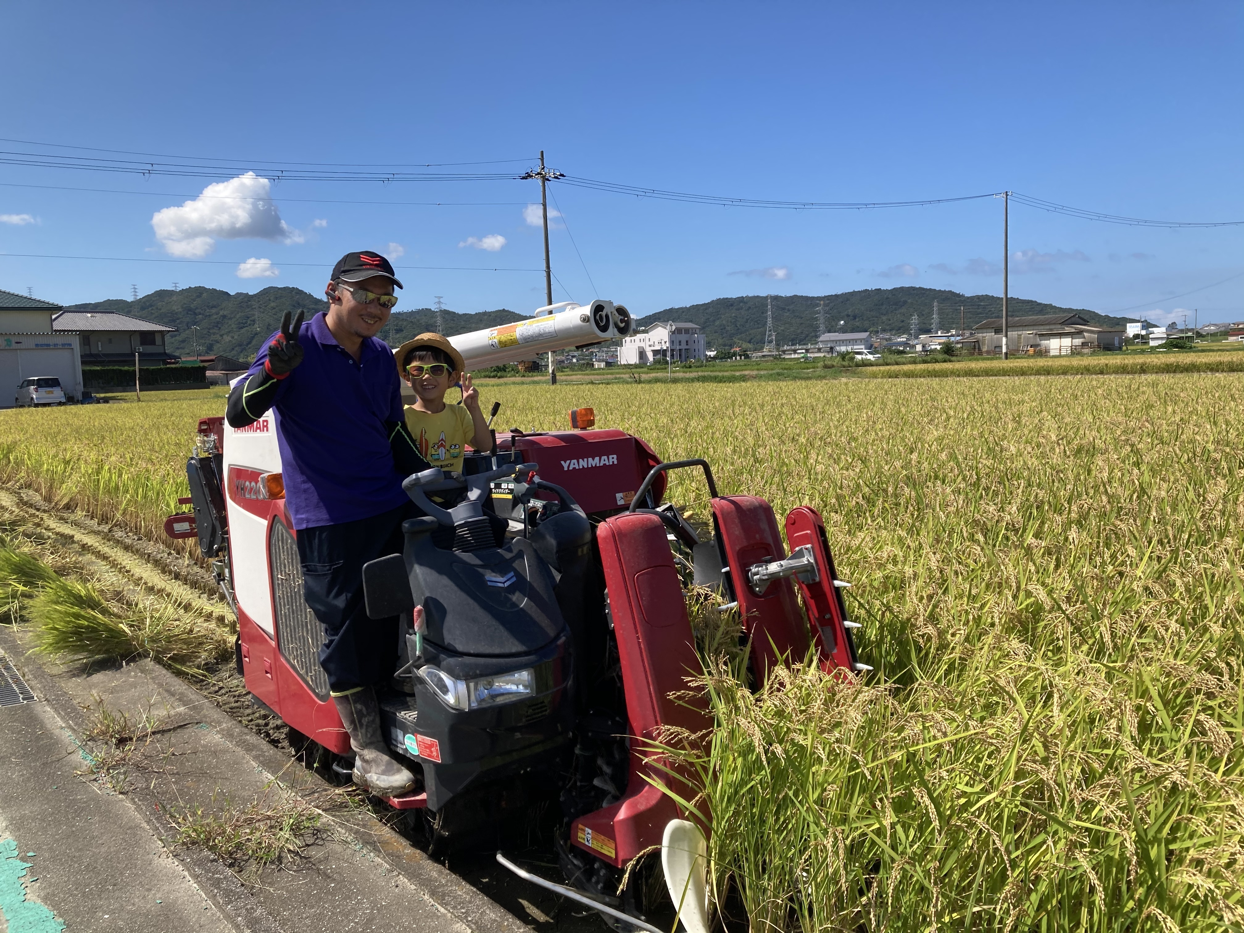 兵庫県南あわじ市｜わいわいベジタブル｜山口将輝さんの生産者