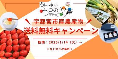 【第二弾！送料無料実施中！】農業王国うつのみやの農産物を知って食べよう！