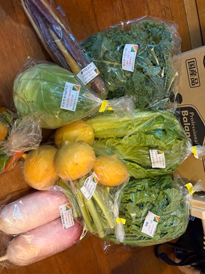 みんなの投稿の画像