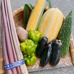 新潟の野菜詰め合わせ　7〜8種類