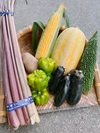新潟の野菜詰め合わせ　7〜8種類
