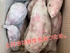 【福袋2024】特価送料無料！熟成紅まさり紅あずま3kg 6kg食べ比べセット♪