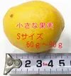 ［加工用］農薬控えめ新鮮レモン3kg