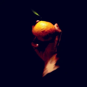 The citrus【BITTER ORANGE】ビターオレンジ 2024