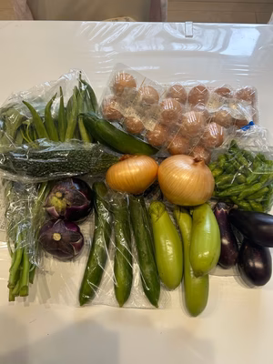 みんなの投稿の画像