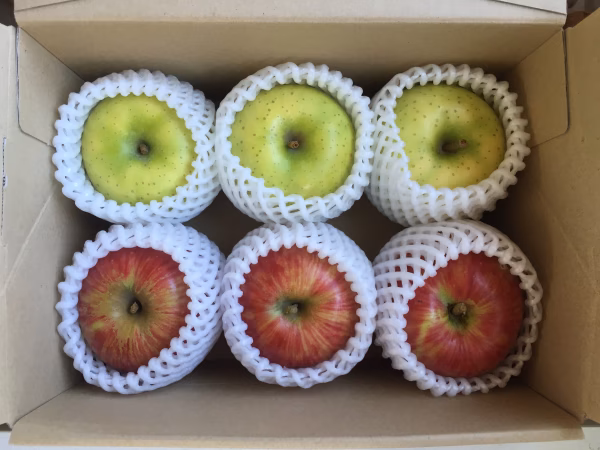 もぎたてつがる&黄王セット